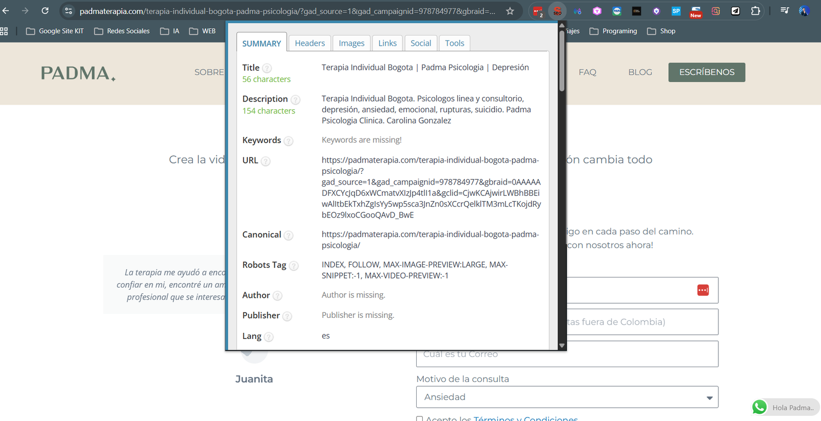 Ejemplo de revisión de SEO title, metadescripción y URL canónica de una página web